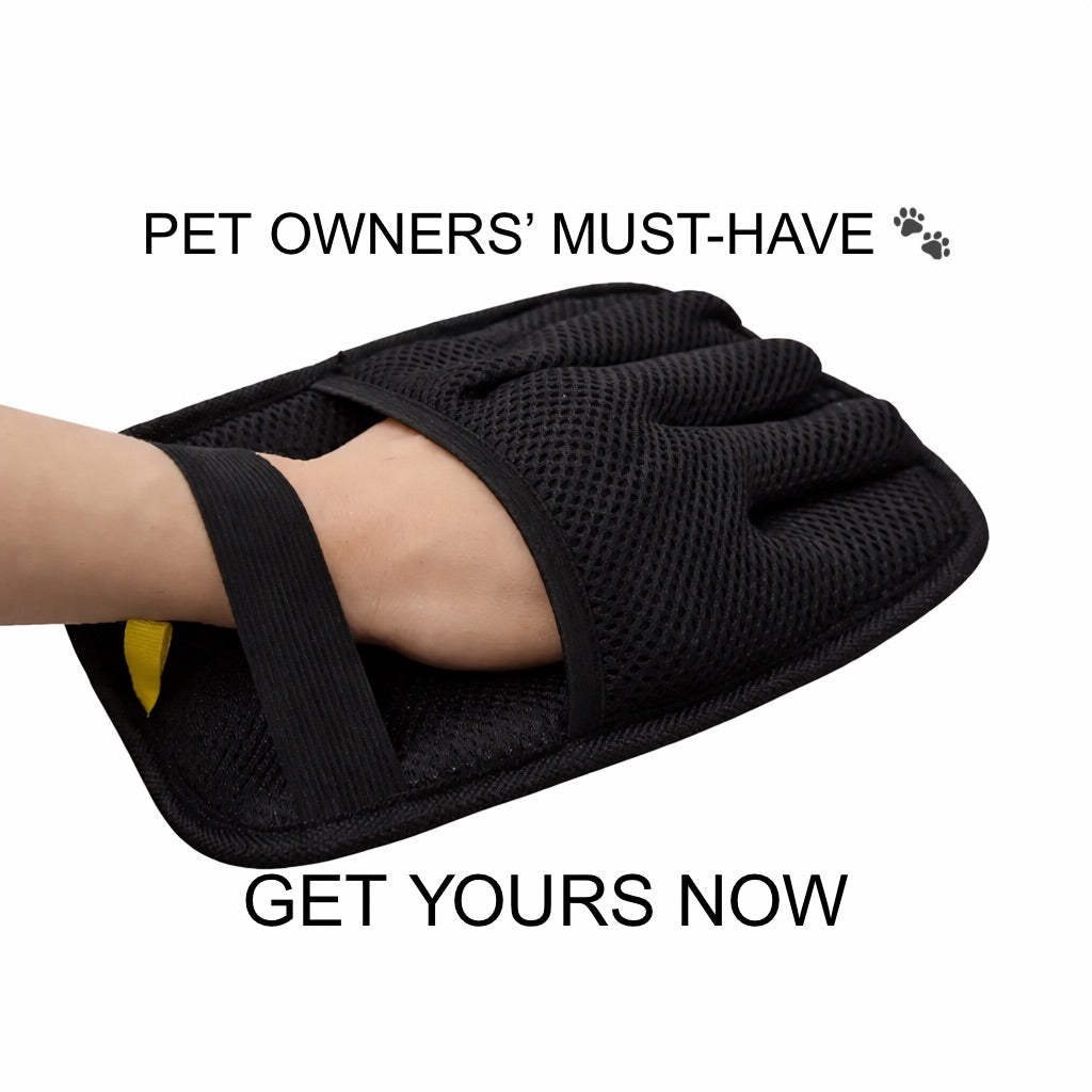 Pet Hair Remover Glove – One Wipe Removes Dog & Cat Hair