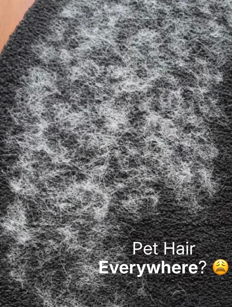 Reusable Pet Hair Remover - Clean Fur from Sofas & Carpets in Seconds